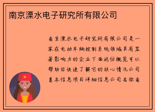 南京溧水电子研究所有限公司